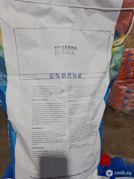 Семена подсолнечника под классическую технологию. Фото 2.