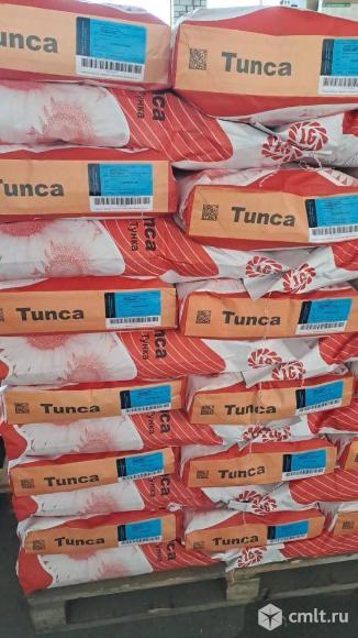 Семена подсолнечника под классическую технологию. Фото 3.