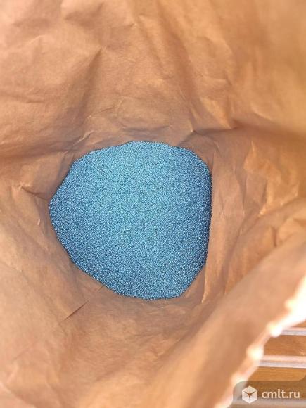 Семена ярового рапса Рапул. Фото 3.