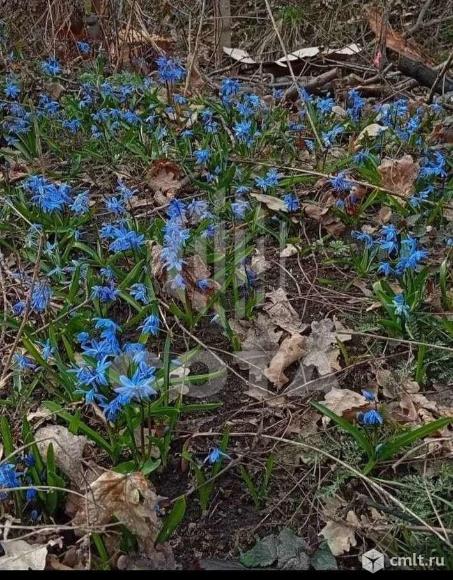 Комната 12 кв.м. Фото 1.