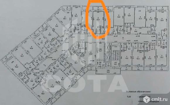 1-комнатная квартира 20,5 кв.м. Фото 15.