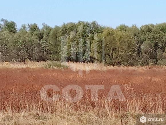 Участок 6 сот.. Фото 1.