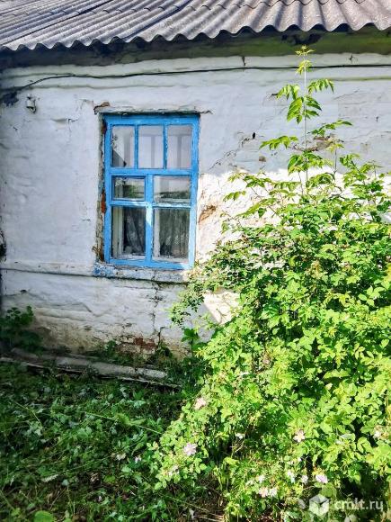 Дом 50 кв.м. Фото 1.