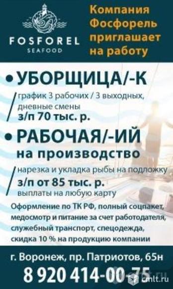 уборщица уборщикрабочая рабочий