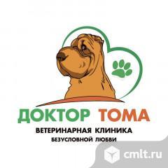 Ассистент Ветеринарного врача. Фото 1.