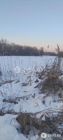 Участок 40 сот.. Фото 5.
