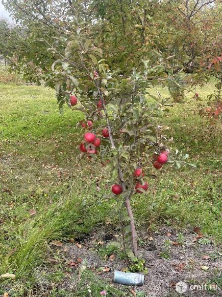 Дача 74,8 кв.м. Фото 20.