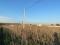 Участок 12 сот.. Фото 8.