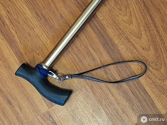 Трость. Фото 1.