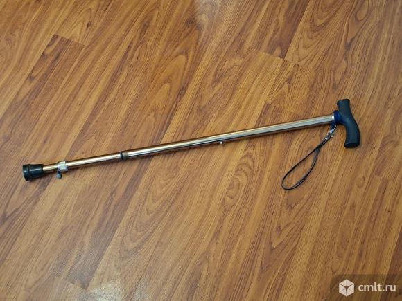 Трость. Фото 2.