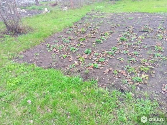 Участок 9 сот.. Фото 1.