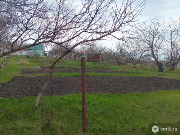 Участок 9 сот.. Фото 3.