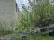 Участок 6 сот.. Фото 8.