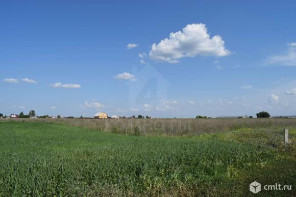 Участок 10 сот.. Фото 1.