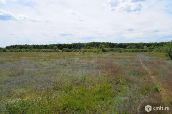 Участок 960 сот.. Фото 11.