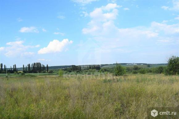 Участок 150 сот.. Фото 1.