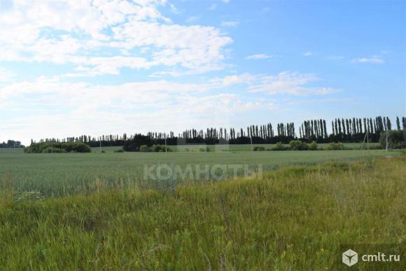 Участок 150 сот.. Фото 2.