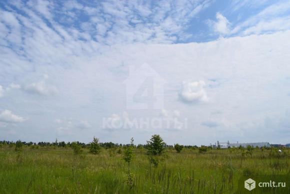 Участок 356 сот.. Фото 1.