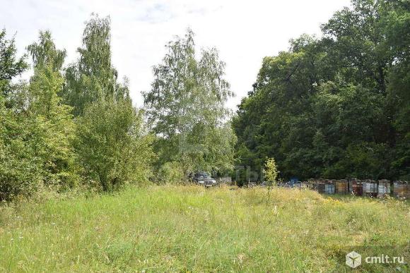 Участок 356 сот.. Фото 7.