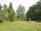 Участок 356 сот.. Фото 7.