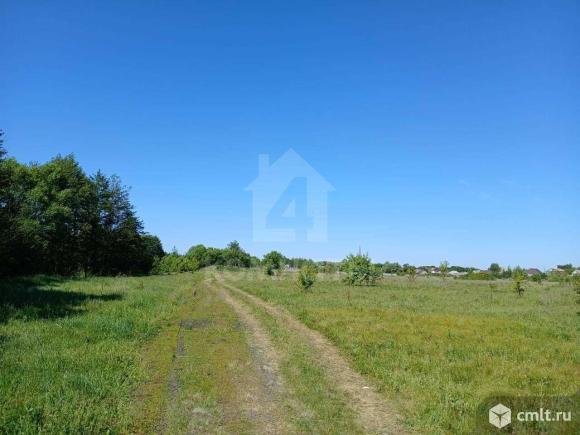 Участок 1 200 сот.. Фото 1.