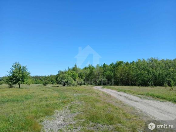 Участок 1 200 сот.. Фото 9.