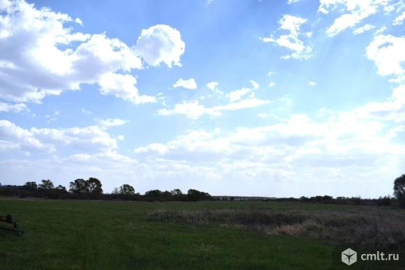 Участок 2 137 сот.. Фото 1.