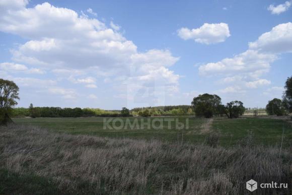 Участок 2 137 сот.. Фото 9.