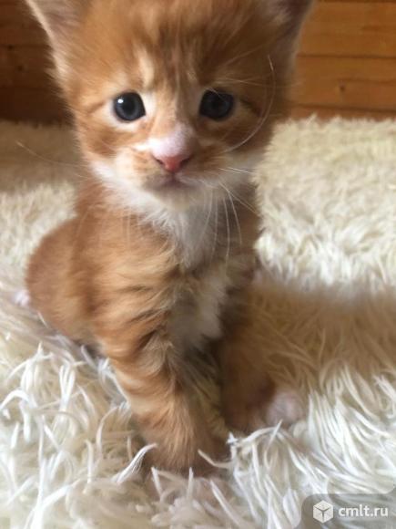 мальчик - полидакт