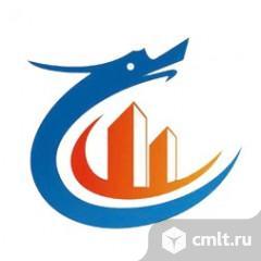 Переводчик с китайского языка. Фото 1.