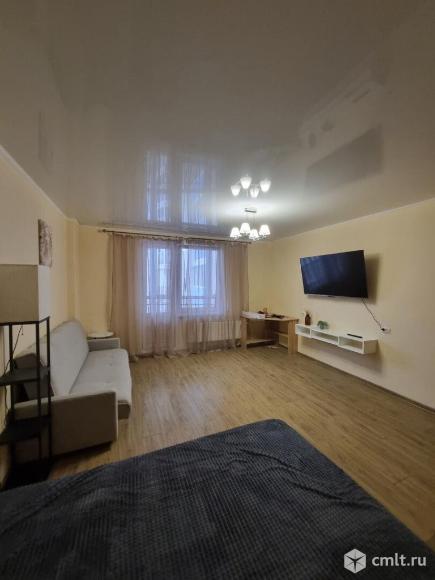 1-комнатная квартира 50,5 кв.м. Фото 1.