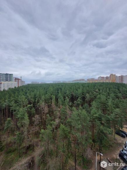 1-комнатная квартира 50,5 кв.м. Фото 20.