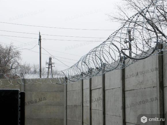 Колючая проволока СББ егоза 600. Фото 1.