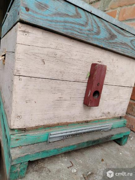 Пчелоинвентарь, улья, соты. Фото 1.