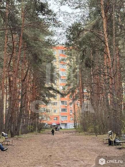 2-комнатная квартира 54,3 кв.м. Фото 20.