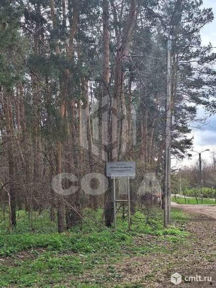 Комната 12,1 кв.м. Фото 10.