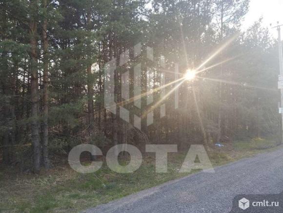 Участок 8 сот.. Фото 1.