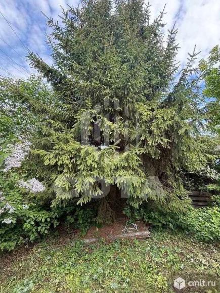 Дом 40 кв.м. Фото 1.