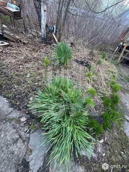 Дача 32,9 кв.м. Фото 20.