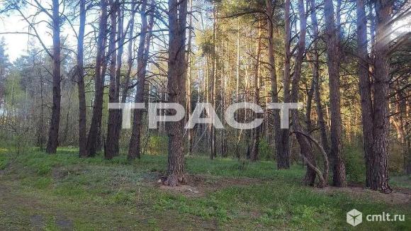 1-комнатная квартира 40,6 кв.м. Фото 16.