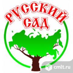Продавец-консультант в садовый центр. Фото 1.