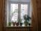 1-комнатная квартира 27,4 кв.м. Фото 8.