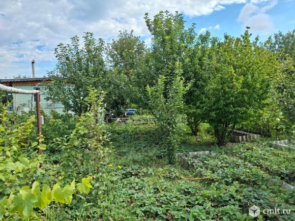 Участок 12 сот.. Фото 1.