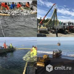Рыбак прибрежного лова. Фото 1.