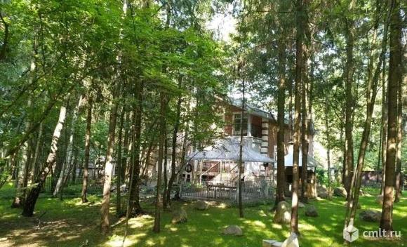 Загородная резиденция в  собственном лесном массиве 67 соток.Загородная резиденция в  собственном.... Фото 20.