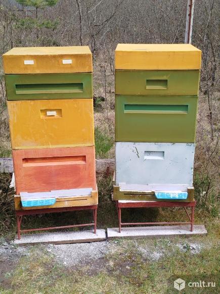 Продам бу ульи Дадан. Фото 1.
