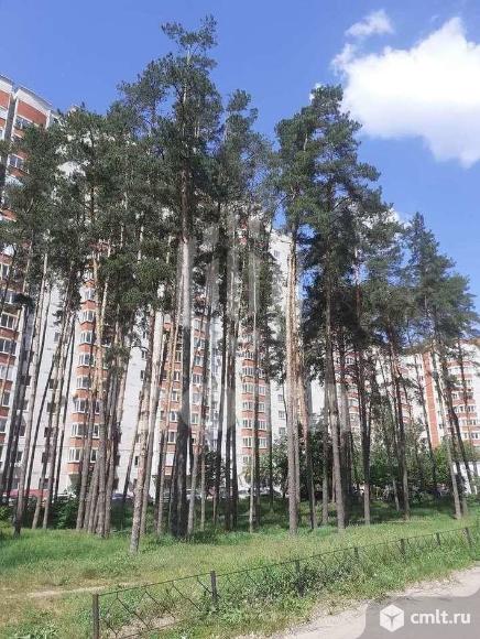1-комнатная квартира 44 кв.м. Фото 20.