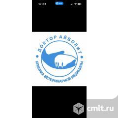 Ассистент вет врача. Фото 1.