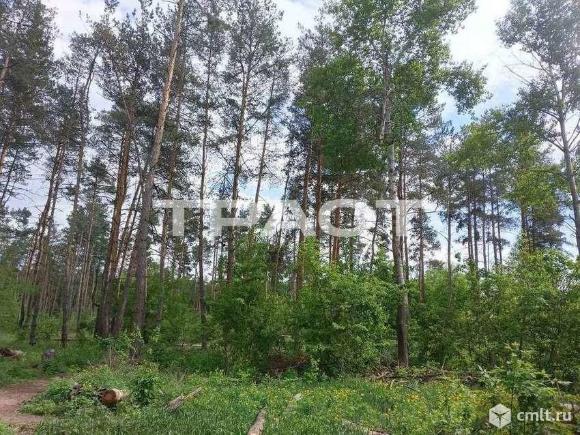 1-комнатная квартира 40,6 кв.м. Фото 13.