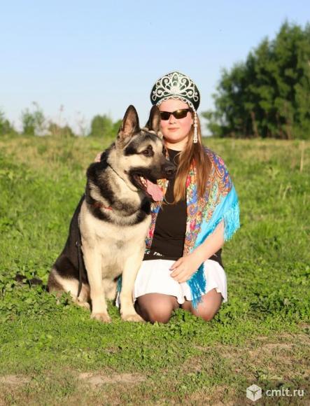 ВЕО щенок кобель. Фото 1.
